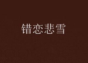 孤独的流浪者救援