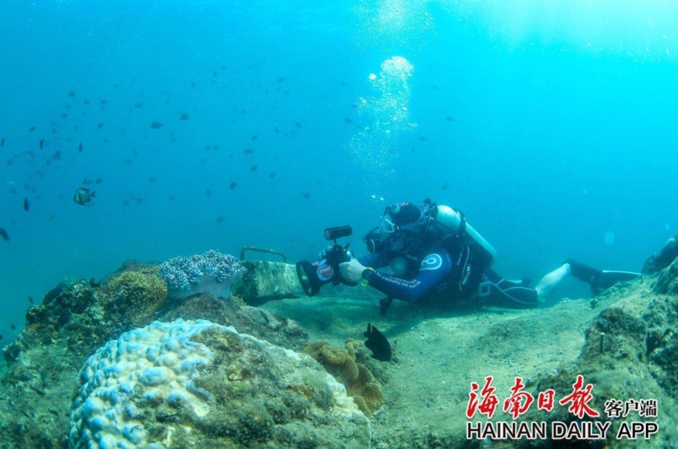 清宫Q传